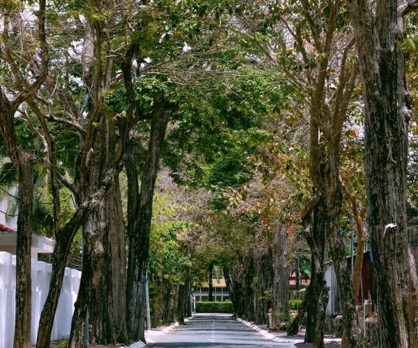 Mua thu con dao - du lich con dao - diem check in con dao - orson hotel resort con dao trip